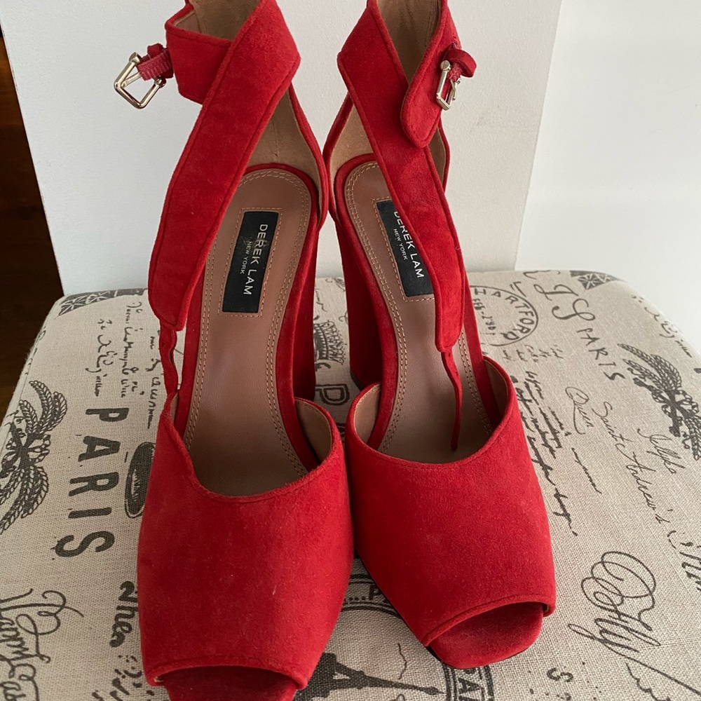Never worn Derek Lam wedges